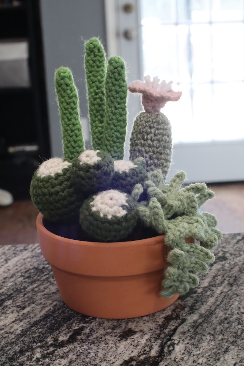 Crocheted cactus garden